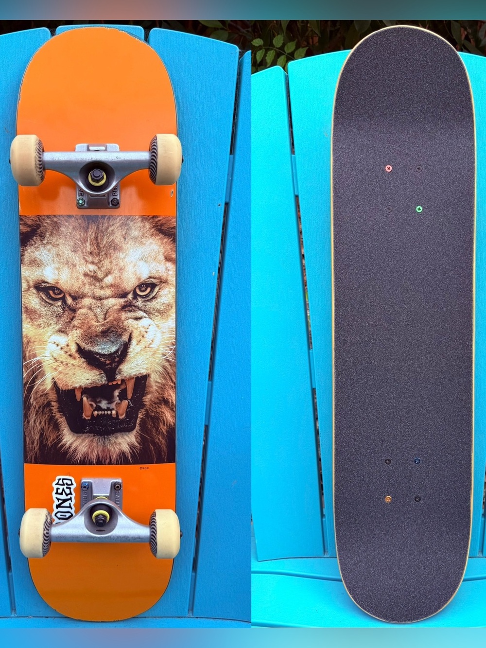 MINI LOGO SKATEBOARDS CHEVRON LION COMPLETE SKATEBOARD 7.75” - PRIMITIVE TRUCKS